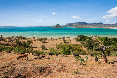 Мадагаскар Почивки и екскурзии