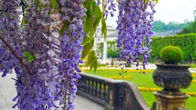 Австрия - Германия - Швейцария - Италия