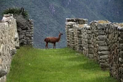 Класически тур на Перу, Лима – Куско – Мачу Пикчу – езерото Титикака
