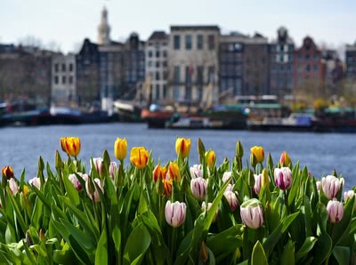 Холандия Почивки и екскурзии