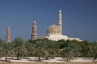 Доха Круизи