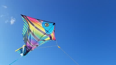 Дидим, лято 2020 - 7 нощувки с автобус от Варна и Бургас
