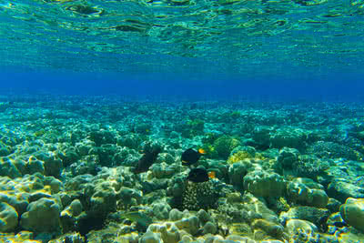 Кайро Почивки и екскурзии