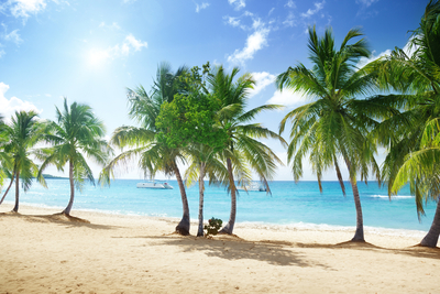 Нова година 2026 в Доминикана - Caribe Deluxe Princess 5* с полет от София през Мадрид - гарантирани места