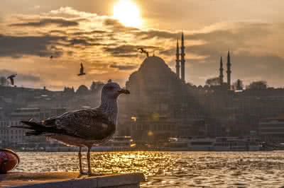 Истанбул Нова година 2023