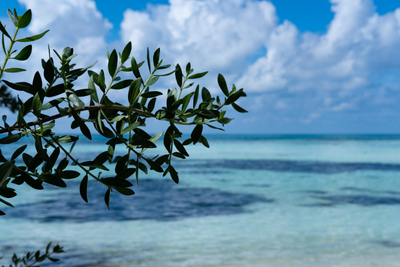 Нова година 2027 - Паралия Катерини, хотел Yakinthos 3* - 4 нощувки със собствен транспорт