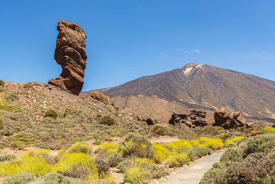 Почивка в Испания - остров Тенерифе с директен чартър от София, хотел Checkin Concordia Playa 4*