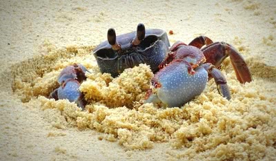 Сейшелски Острови Почивки и екскурзии
