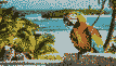 caribbean-cruise_67eeb504717f1ybz.jpg