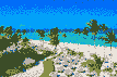 holiday-in-the-dominican-republic-charter-flight-from-sofia_67d92fe44e28bgx8.jpg