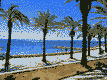 holiday-on-the-island-of-majorca-flight-from-sofia-promo_67d92c0ecc90bsd8.jpg