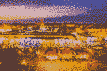 morocco-from-a-to-z-budget_609a1ffd3703f9u3.jpg