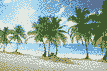 new-year-holiday-in-the-dominican-republic-charter-flight-from-sofia_61e6e75c9528alw5.jpg