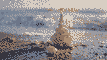 new-year-pearls-of-egypt-cairo-and-hurghada-flight-from-plovdiv_687c9050be32916p.jpg