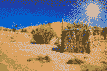 the-magic-of-the-sahara-in-tunisia-with-a-flight-from-plovdiv_67eea5b48fe05eyx.jpg