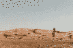 the-magic-of-the-sahara-in-tunisia-with-a-flight-from-sofiya_67eeabc20cfe9a9u.jpg