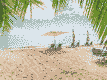 vacation-in-el-alamein-egypt-flight-from-sofia_687a34b92e7a1xfo.jpg